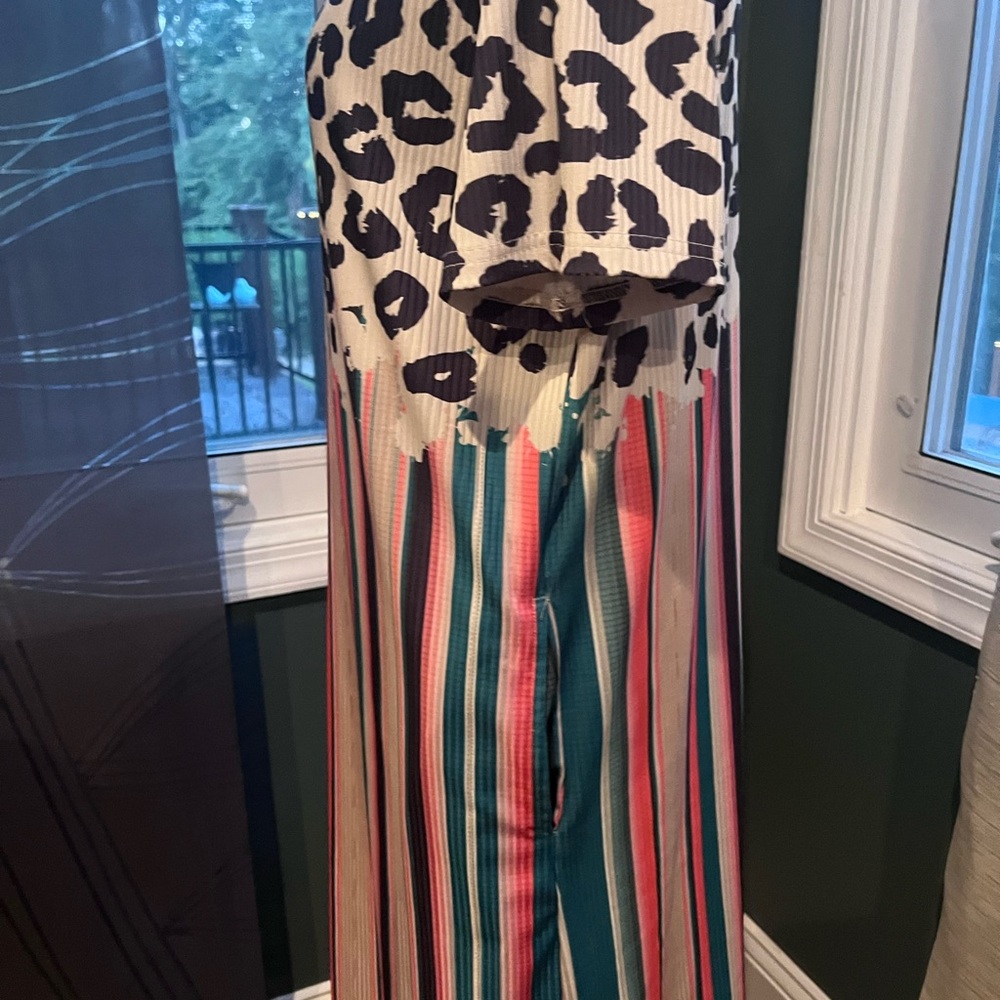 Crazy Train Leopard and Striped Above Knee Dress - Picture 6 of 9